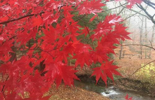 The Blue House On The Hill Catskills—Views - Photo 38