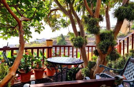 Los Nacientes: Cordero - Foto 12