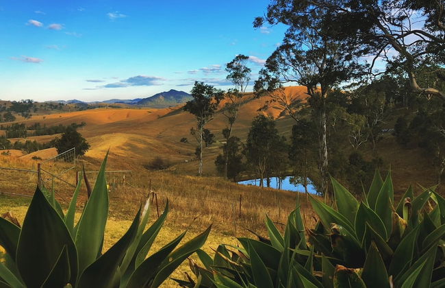 Dam It Getaway- Homestead - Foto 23