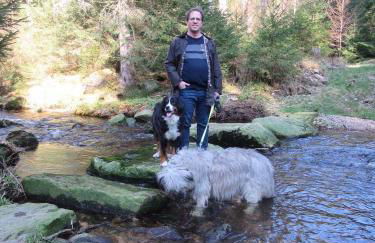 Ferienwohnung-Schoenmuenzblick-Urlaub-im-Nationalpark-Schwarzwald-Schwarzwald-Plus-inklusive - Photo 41