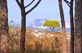 Appartamenti Le Magnolie - Foto 46