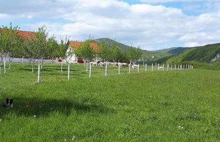 Vila NINA - Photo 58