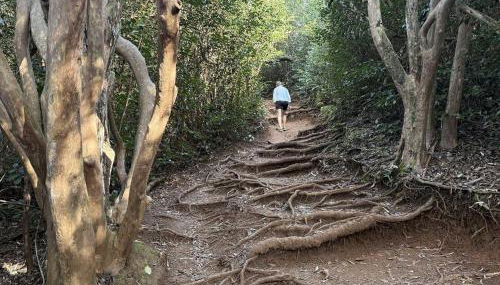 Islander on the Beach 328 - Foto 3