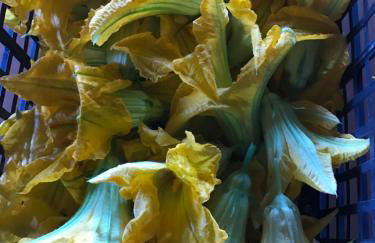 Agriturismo a casa di Susanna - Foto 46