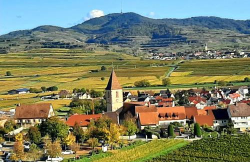 Ferienwohnung "Am Blauwasser" mit Infrarotkabine - Foto 18