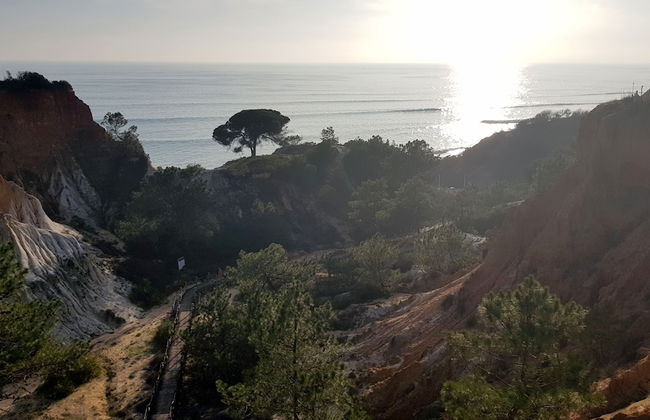 Albufeira Ocean View by Rentals in Algarve (62) - Foto 23