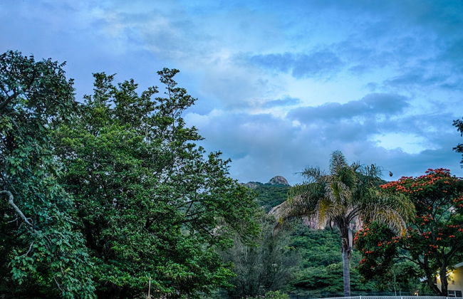 Near2Numbi - Foto 54