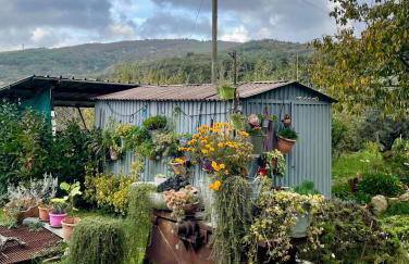 Pink House - Foto 17