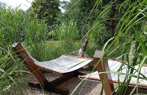 Siedlisko Gruszki Puszcza Białowieska - Foto 41