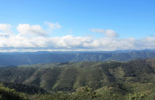 Cortijo "Era Grande 2" - Foto 52