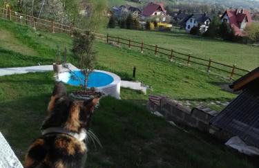 Domek Panorama - Foto 49