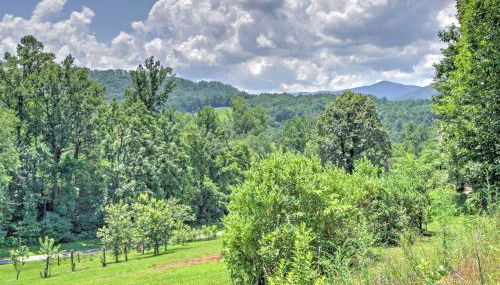 Fox Den with Hot Tub! 22 Mi to Cataloochee Skiing - Foto 3