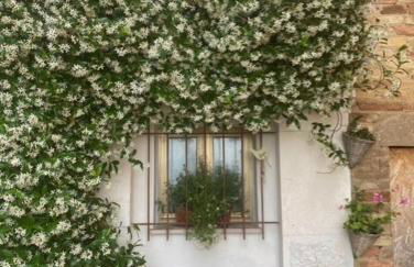 La Casa del Gelsomino - Foto 21