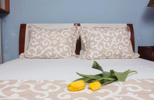 kon&kona hrakleitsa - Foto 16