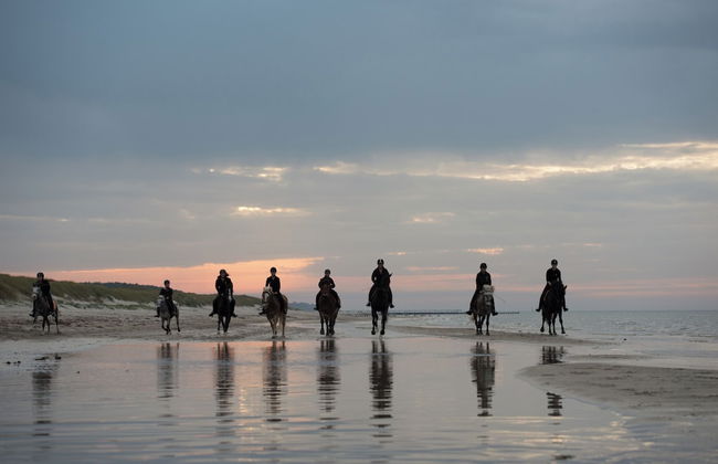 Bernsteinland Barth - Photo 41