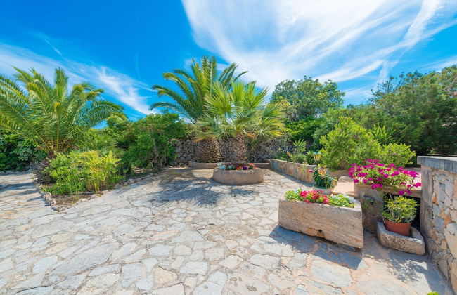 Barcelo-danus in Portocolom - Foto 27