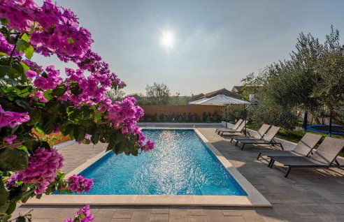 Apartman Bore - Foto 12