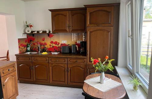 Haus Bernsteinsee mit Goitzsche-Schnuppersegeln - Foto 17