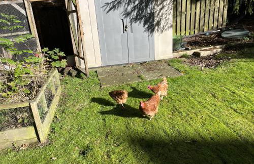 Blaydonburn - Sleeps 4,5 - Parking - Hottub - Yard - Foto 70