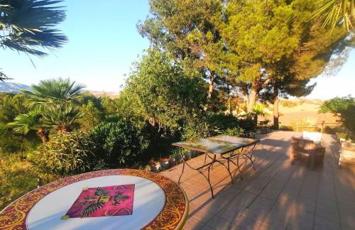 Ciuci's Manor - Foto 31