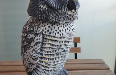 Deltebre Apartamentos - Foto 70