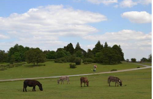 Fallow Cottage - Photo 25