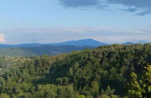 La Vallée De La Loire - Foto 12