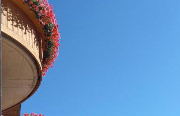 Al Truciolo - Foto 8