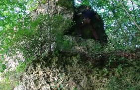 Ferienhaus zum Berg - Foto 37