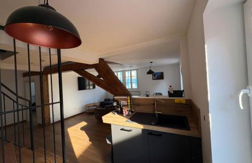 Apartmenthaus Alte Scheune Gunzenhausen - Foto 49