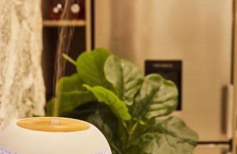 Calypso Apartment - Foto 18