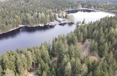 Ferienwohnung im Fichtelgebirge - nahe der Skipiste mit Balkon & Free Parking - Foto 19