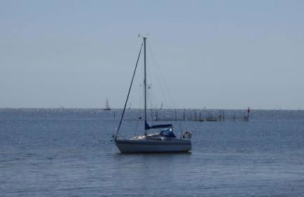 Gut-Rattelvitz-Galerie-F-hochwertig-Sauna-Kamin-eTankstelle-Spielscheune-15-000qm-Park-Land - Foto 67