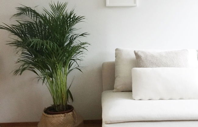 Roost Pursimiehenkatu - Foto 3