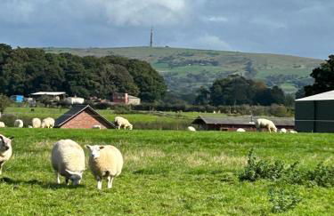 The Lodge - Photo 74