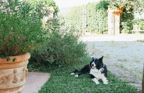 Agriturismo Vallerana - Foto 34