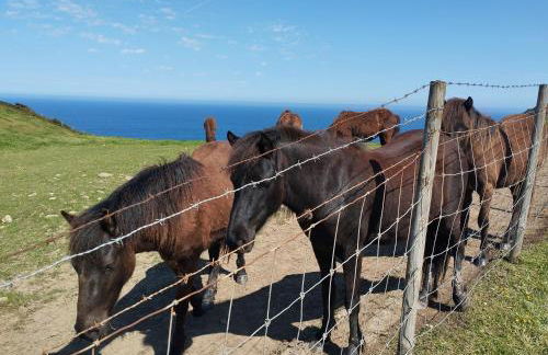 Etxalo, apartamento con terraza en Gorliz - Foto 48