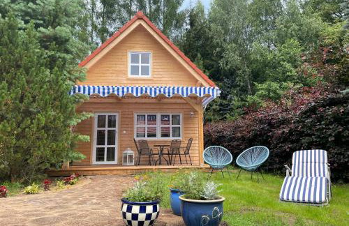 Kwiat Paproci - Foto 37