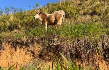 Casa de Campo - Águas Mornas SC - Photo 33