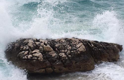 Apartments Stakic - Foto 50