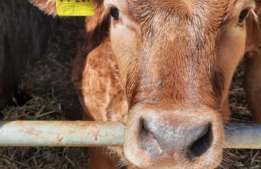 FeWo Zieger - Urlaub in Franken - Foto 77