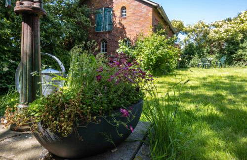 Fewo Silke Dethlefsen - Foto 13