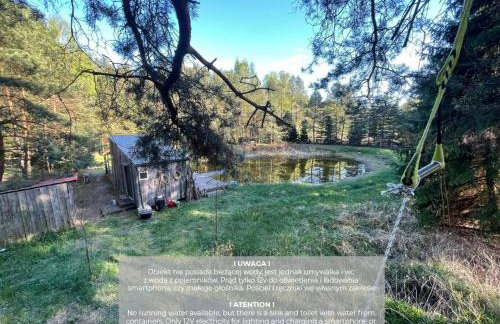 SHROOM & WATER chill calm nature - Foto 8