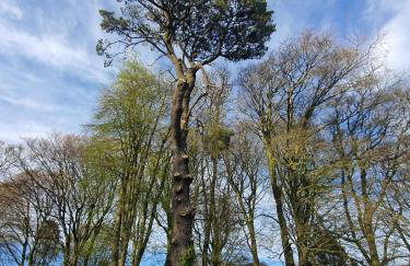 Blissful Escape Hengar Manor - Foto 27