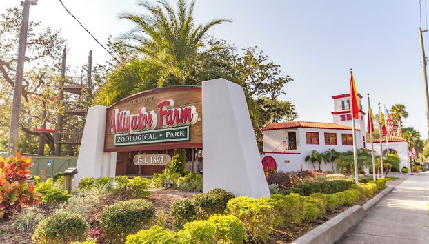 Hunter's Haven by Distinctive Beach Rentals - Foto 5, Servicios del alojamiento