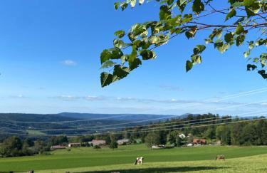 Chalet bois au calme, en lisière de forêt, balcons, sentiers balades Gérardmer & Alsace "Chalet Mon beau sapin" - Foto 69