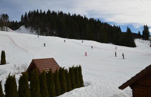 Le Repaire du Loup blanc - Foto 51
