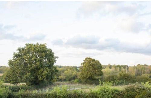 Doeling Barcombe - Foto 14