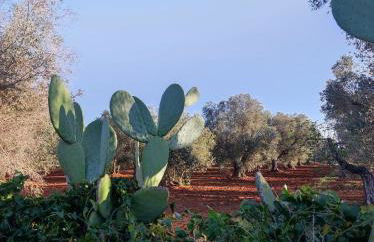 Casa Vacanze Aurora - Foto 34