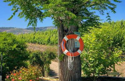 Quinta da Salada - Turismo Rural - Foto 7